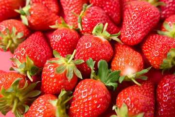 Ripe juicy orgaic strawberries on a red background.