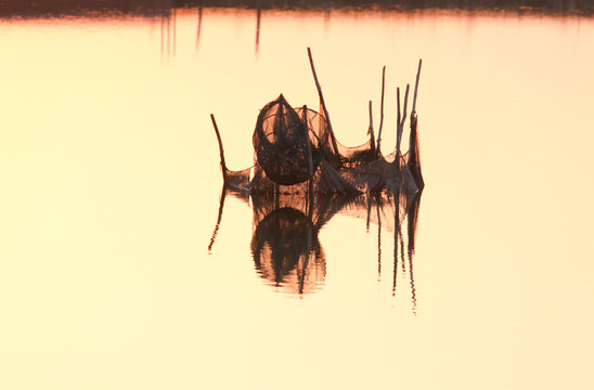 Fischnetze und Fischreuse in der &ouml;stlichen Lagune im Sonnenuntergang, Venedig, Italien