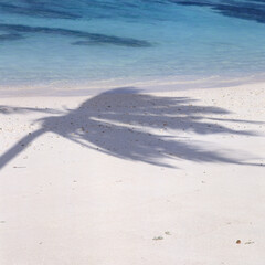 Seychellen/La Digue: Strand, Meer, Schatten einer Kokospalme