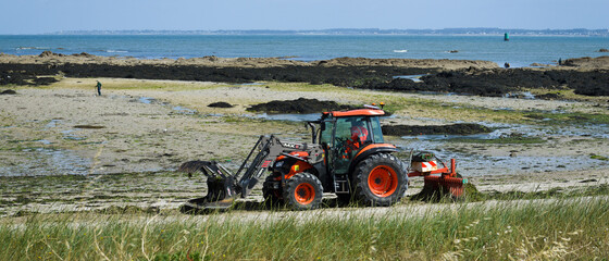 Tracteur ramassant les algues vertes sur une plage à marée basse