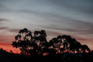 winter sunset with intense colours over the mountains and thick vegetation shot in Tasmania