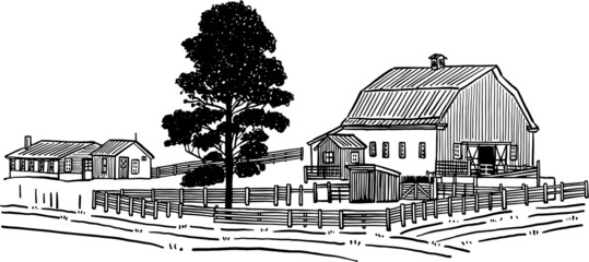 Barn and farmhouse with big tree landscape Hand drawn line art illustration classic style