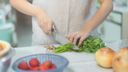Young adult woman cooking in kitchen Hand holding knife cut coriander prepared making healthy food.