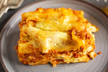 Tasty baked italian lasagne on casserole