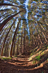 Mt.Mitake trekking in autumn 秋の御嶽山トレッキング