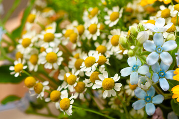 Flowers. Field daisies close up. Floral background.