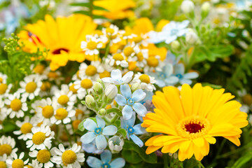Beautiful bouquet of different summer flowers close-up.