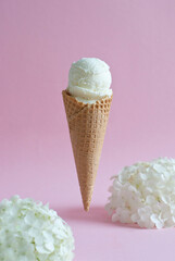 Ice cream in a waffle cone on a pink background with flowers.