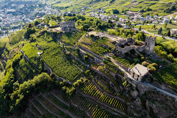 Sondrio, Valtellina , Italy, Castel Grumello and vineyards, aerial view - 444715690
