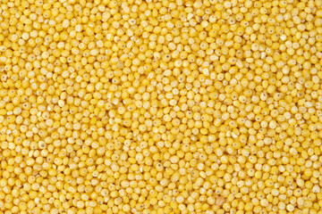 Polished millet texture and details traditional food. Healthy boiled porridge.