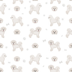 Bichon frise seamless pattern. Different coat colors and poses set