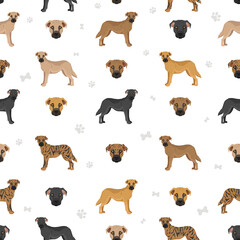 Black mouth cur seamless pattern. Different coat colors and poses set