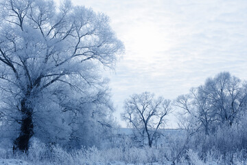 Obraz na płótnie Canvas blue winter landscape with cloudy sky