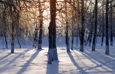 beautiful winter park at sunser