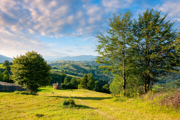 rural landscape in morning light. wonderful countryside scenery of carpathian mountainsin summer. trees, fields and meadows on the hills. bright blue sky with fluffy clouds above the distant ridge