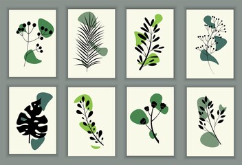 Abstract vector posters in boho style. Botanical set of plants. Monstera leaves and palm trees. Wall art. Natural design. Minimalistic image.
