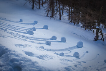 Tilt shift effect of wheel-shaped snowballs formed by rolling down a slope. Fiorentina Valley,...