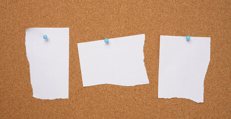 torn white blank white sheet of paper affixed with a plastic button on a brown cork board