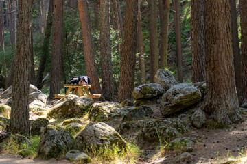 arboleda en la montaña con rio y piscinas naturales, área de recreo en la sierra