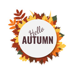 Autumn background design with hello autumn text in the circle frame and colorful leaves. Fall season greetings, advertising, sale design concept. Vector illustration