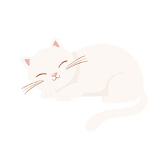 white sleeping cat