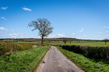 Fototapeta na wymiar road in the countryside under blue skies
