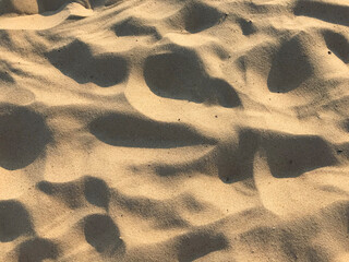 summer beach landscape of fine sand 