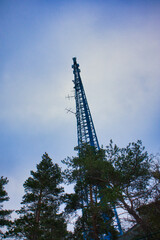 Baum, Baumkrone mit Funkturm Jena, Thüringen, Deutschland