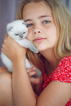 Girl with a kitten. A small kitten in the hands of a child. High quality photo