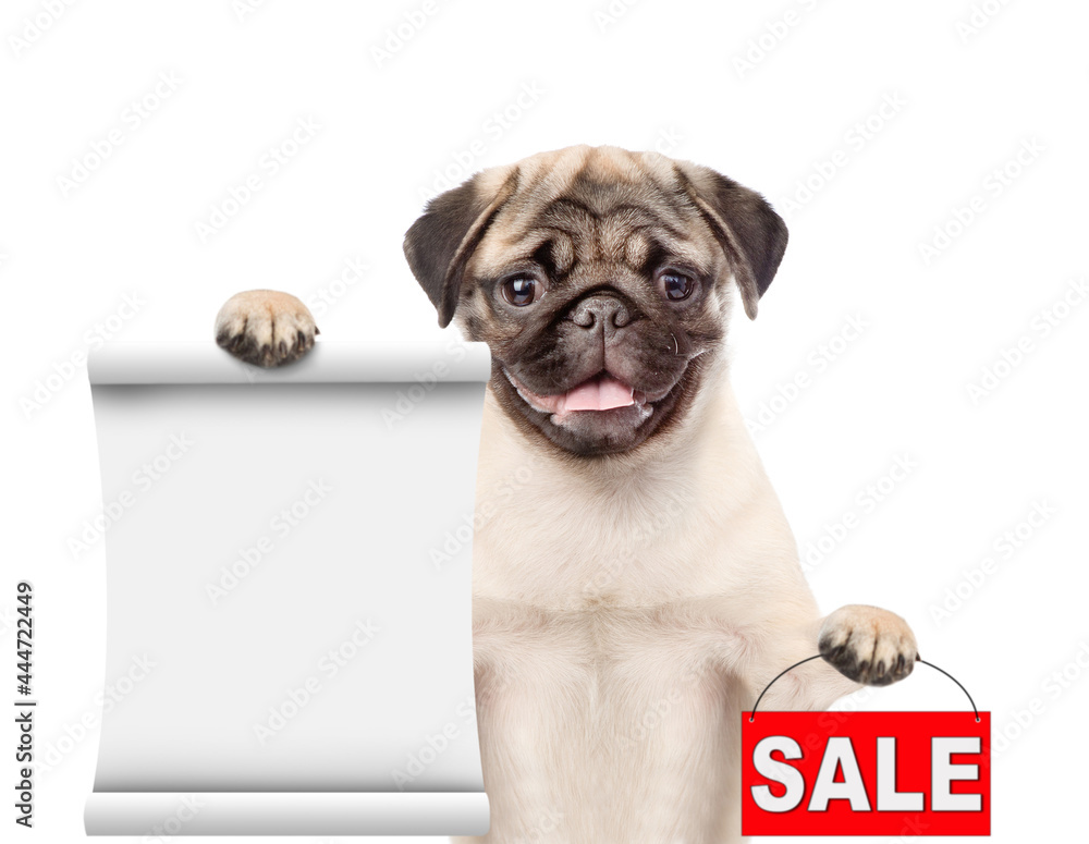 Poster Pug puppy shows empty list and sales symbol. isolated on white background