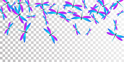 Tropical blue purple dragonfly isolated vector background. Summer funny damselflies. Detailed dragonfly isolated dreamy illustration. Tender wings insects graphic design. Fragile creatures