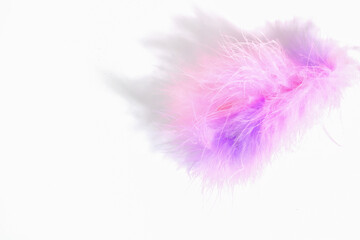 Pink lilac fluff feather isolated on white background close-up. Fluffy pink fluff.