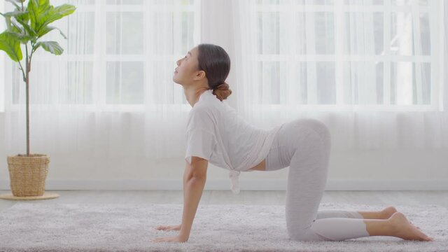 Calm of Athletic Asian woman in sportwear practice yoga Cat Cow pose to breathing and meditation at home,Healthy woman doing yoga Feeling so comfortable and relax,Wellness Yoga Healthcare Concept