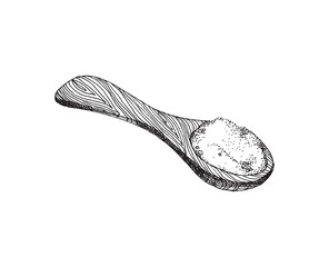 Spoon of ground cane or beet sugar engraving vector illustration isolated.