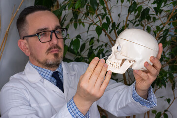 ENT doctor holds a human skull in his hands and shows patient bony nasal cavity. Diagnostics and treatment of ENT diseases of nose such as curvature of the nasal septum, sinusitis, runny nose - obrazy, fototapety, plakaty