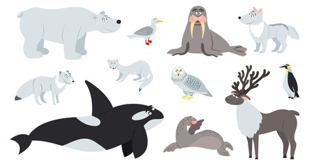 Arctic animals. Polar animal, cartoon cute bear walrus penguin. Flat fun antarctic seal, north pole wildlife. Reindeer fox childish decent vector set