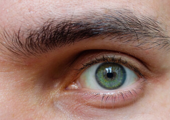 Fototapeta premium closeup of green human eye and eyebrow