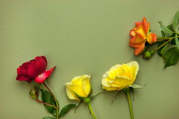 Fototapeta premium Flower arrangement of yellow and red roses and petals on a light green background. The concept of the holiday. Valentine's Day
