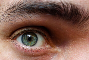 closeup of green human eye and eyebrow