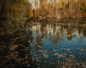 Autumn colors. Colorful fallen leaves in the lake. Magnificent landscape. Natonial Park. Photo taken on 10th November 2018 Yedigoller. Bolu, Istanbul, Turkey.