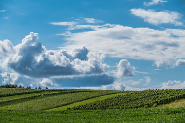 Fototapeta na wymiar Dunkle Gewitterwolken über Agrarlandschaft