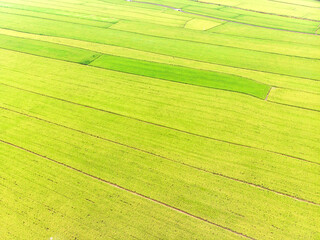 Landscape View of Guandu Plain, Taipei, Taiwan