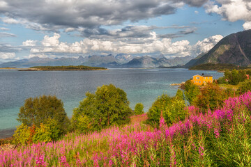 Naklejka premium Beautiful summer Norwegian landscape with a lake, with a yellow house and mountains