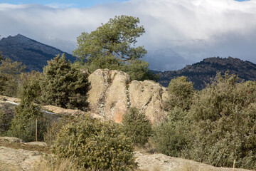 Fototapeta na wymiar Boulder in Guadarrama National Park; Madrid