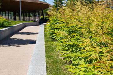 Fototapeta premium Walk Way In City Park