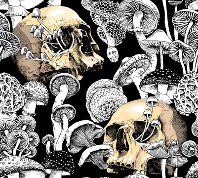 Seamless wallpaper pattern. Monochrome Magic Psychedelic Mushrooms and skulls. Humor textile composition, hand drawn style print. Vector illustration.