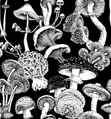 Seamless pattern. Different mushrooms. Textile composition, hand drawn style print. Vector black and white illustration. - 444731050