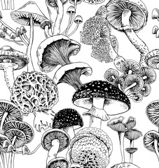 Seamless pattern. Different mushrooms. Textile composition, hand drawn style print. Vector black and white illustration.