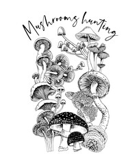 Composition of a Different mushrooms. Mushrooms hunting - lettering quote. Humor card, t-shirt composition, hand drawn style print. Vector black and white illustration. - 444731217