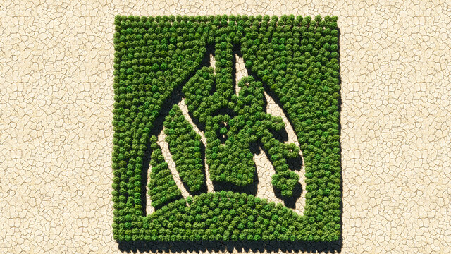 Concept or conceptual group of green forest tree on dry ground background, sign of  the lungs and heart. A 3d illustration metaphor for medicine, heart-lung transplant, pulmonary or heart illnesses